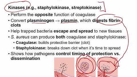 Openstax Micro Ch. 15 Video Part 04 - Sections 15.3b & 15.4