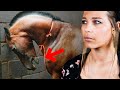 Les pires pratiques equestres  empoisonnement au venin de serpent barrage hyperflexion etc