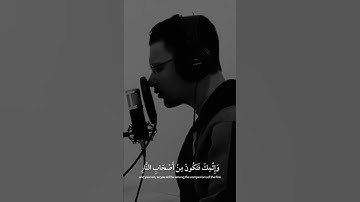 تلاوة هادئة للقارئ طارق محمد 🤍