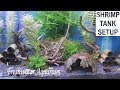 Shrimp Tank Setup - TimeLapse - Yellow Neon