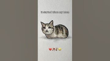 Meowl origin story #art #cat #meme #drawing