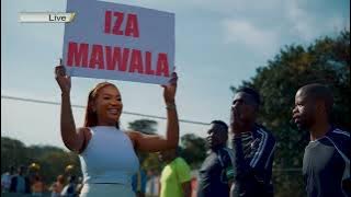 Dladla Mshunqisi Feat. Goldmax - Iza Mawala (Oficial )