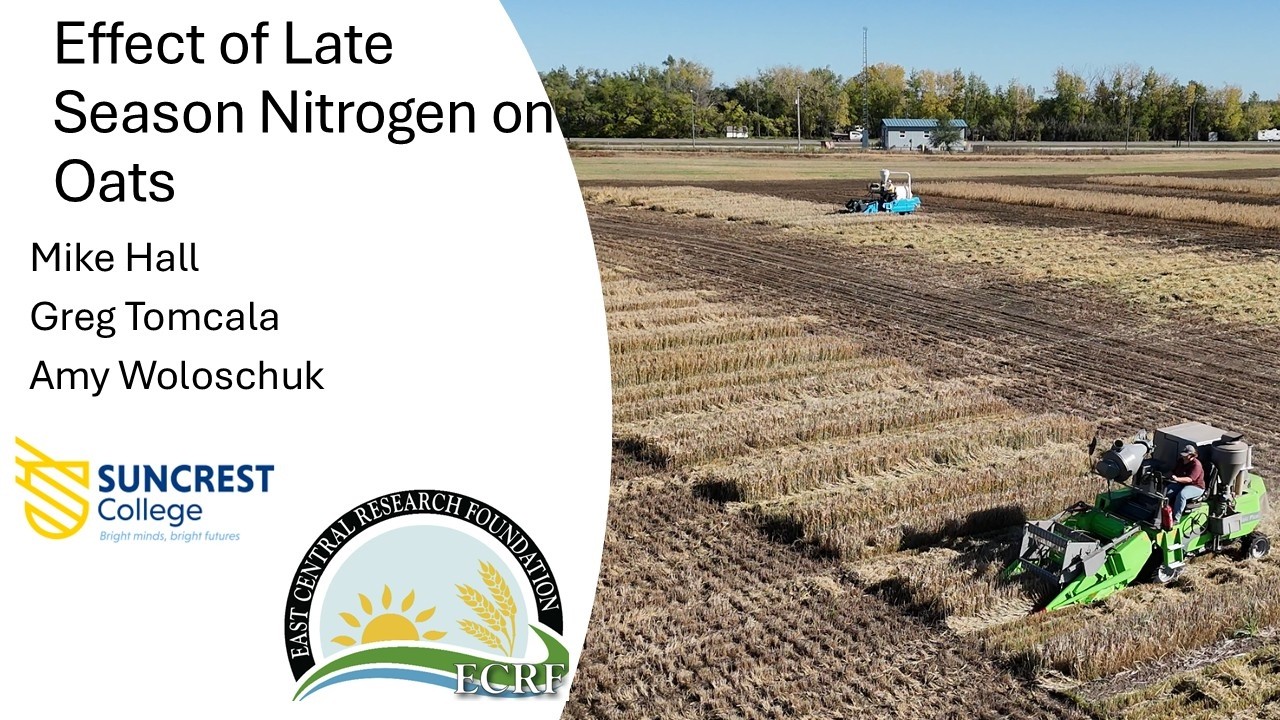 Effect of Late Season N on Oats 2025