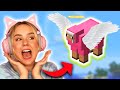 24hr Pink Sheep Hunt!