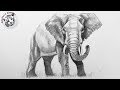 Como Dibujar un Elefante Realista con Lapiz muy Fácil y Paso a Paso