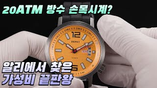 알리익스프레스 방수 기계식 손목시계 추천 TOP3 – 20ATM 다이버 시계 & 스포츠 워치 (BERNY Wristwatch)