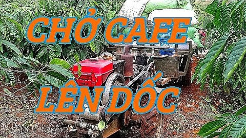 Xe Công Nông Chở Cafe Lên Dốc Rất Mạnh | Phần 2