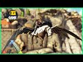 How To Find And Tame Shimmer Flying Horse |Ark Caballus| Ep42