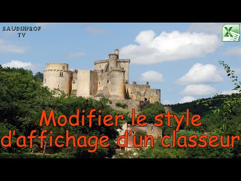 Vidéo: Comment Modifier Une Entrée Dans Un Classeur