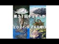 第３１回ギョギョ市