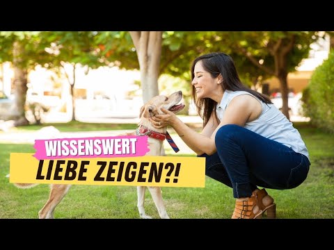 Video: 5 überraschende Möglichkeiten, wie Ihr Hund Ihnen zeigt, dass er sich um Sie kümmert