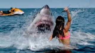 SHARK BAIT | SHARK ATTACK | Australian Trailer 2 | 2022