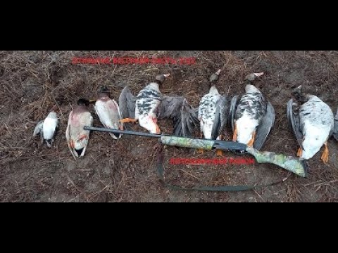 Видео: Открытие весенней охоты 2022 Лотошинский район