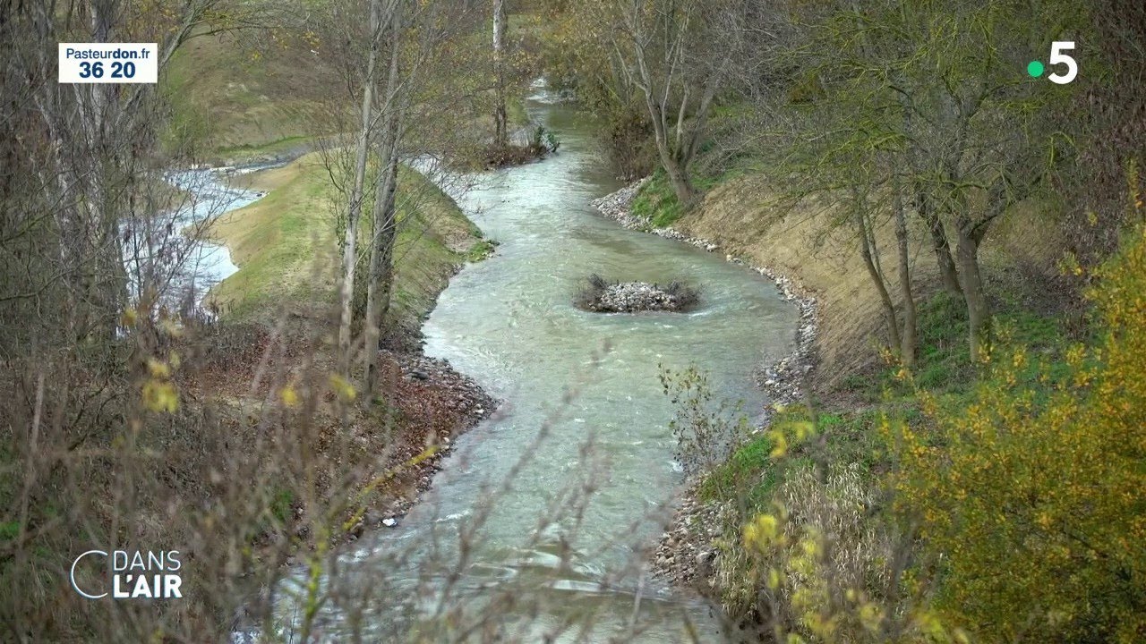 Inondations : quelles solutions pour les éviter ? - Reportage #cdanslair 10.10.20