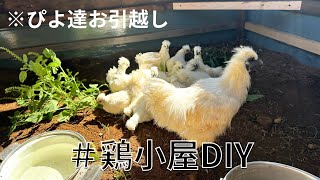 鶏小屋製作　最終日【DIY】