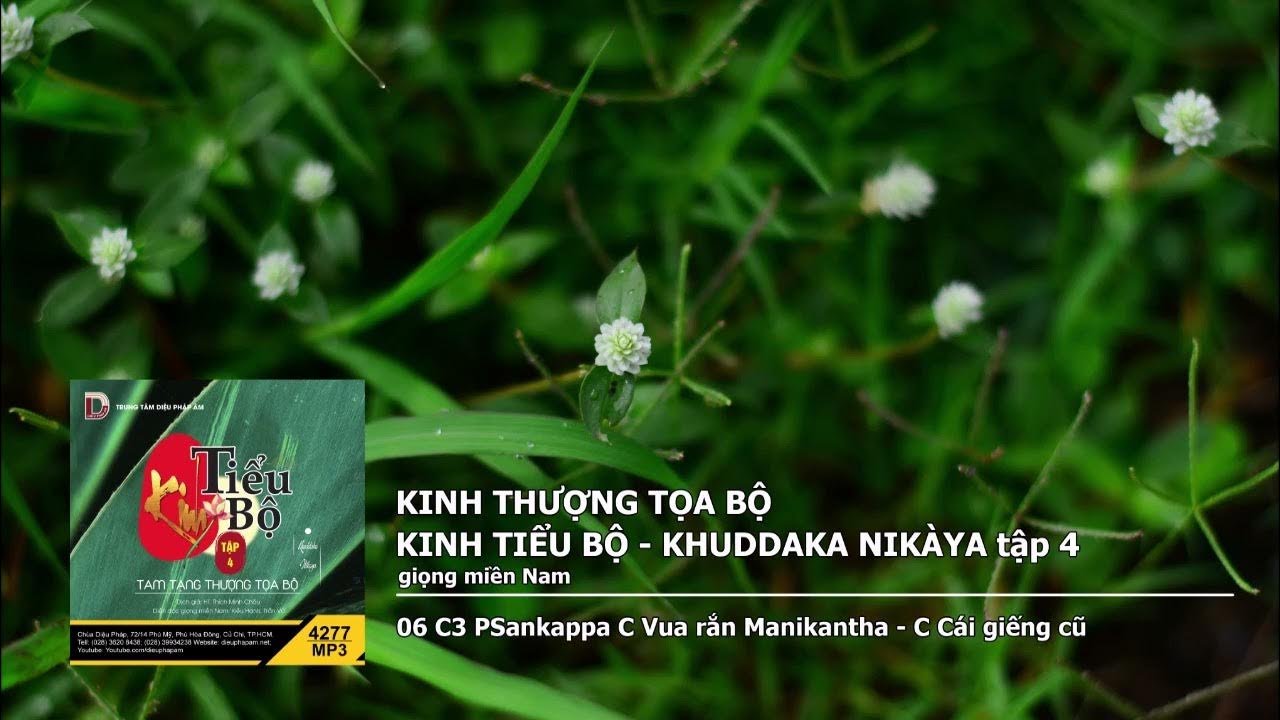 Tập 4 – 06 C3 PSankappa C Vua rắn Manikantha – C Cái giếng cũ giọng miền Nam 