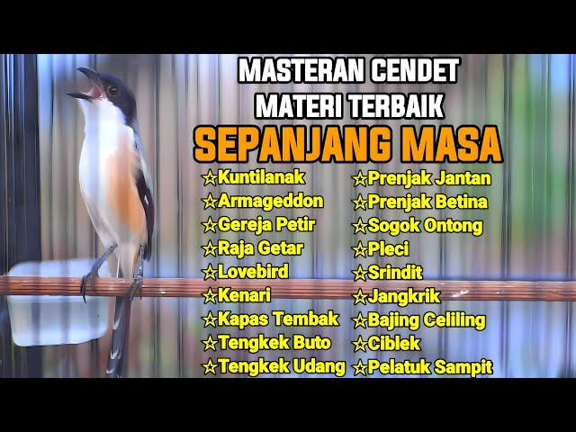 MASTERAN CENDET TERBAIK SEPANJANG MASA FULL TEMBAKAN MATERI MEWAH class=