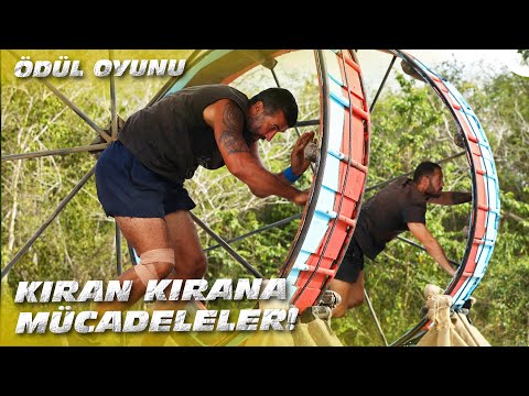 Ödül Oyunu 2. Kısım | Survivor All Star 2022 - 15. Bölüm