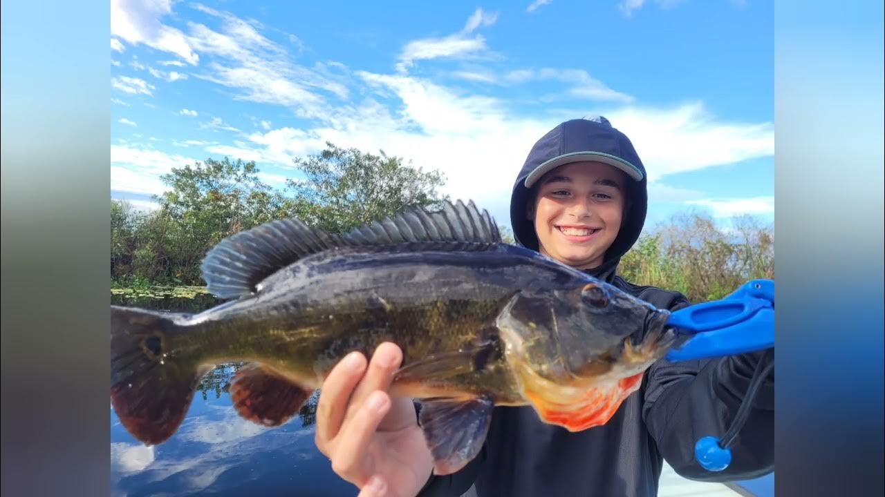Peacock bass Fishing In The Everglades with Captain Justin Nguyen🐊🐟🎣 