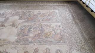 Roman Villa Floor Mosaic - House of Aion Paphos Cyprus