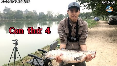 Câu lục. Quấn ổ trắm đen tại hồ Ải Quang, thính phủi 2, đẹp trai nhất hồ.