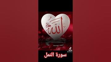 سورة النمل #اكسبلور #دويتو #دعاء #تيك_توك #دعاءمستجاب #صباح_الخير #فولو #لايك #اسلاميات #quran