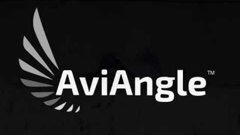AviAngle Product Demonstration Video Excluding Pigeons from Parking Garage