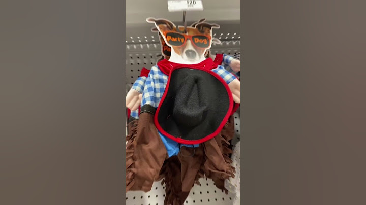 ADORABLE CUTE Dog Costumes for Halloween We Found at Party City | #doglover #halloween #costume
