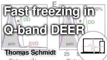 Submillisecond Freezing and Perdeuteration Permits Cryoprotectant-free Q-band DEER | Thomas Schmidt
