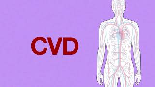 Cardiovascular disease (CVD): What is it? - Spanish