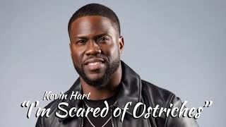 “I’m Scared of Ostriches” - Kevin Hart