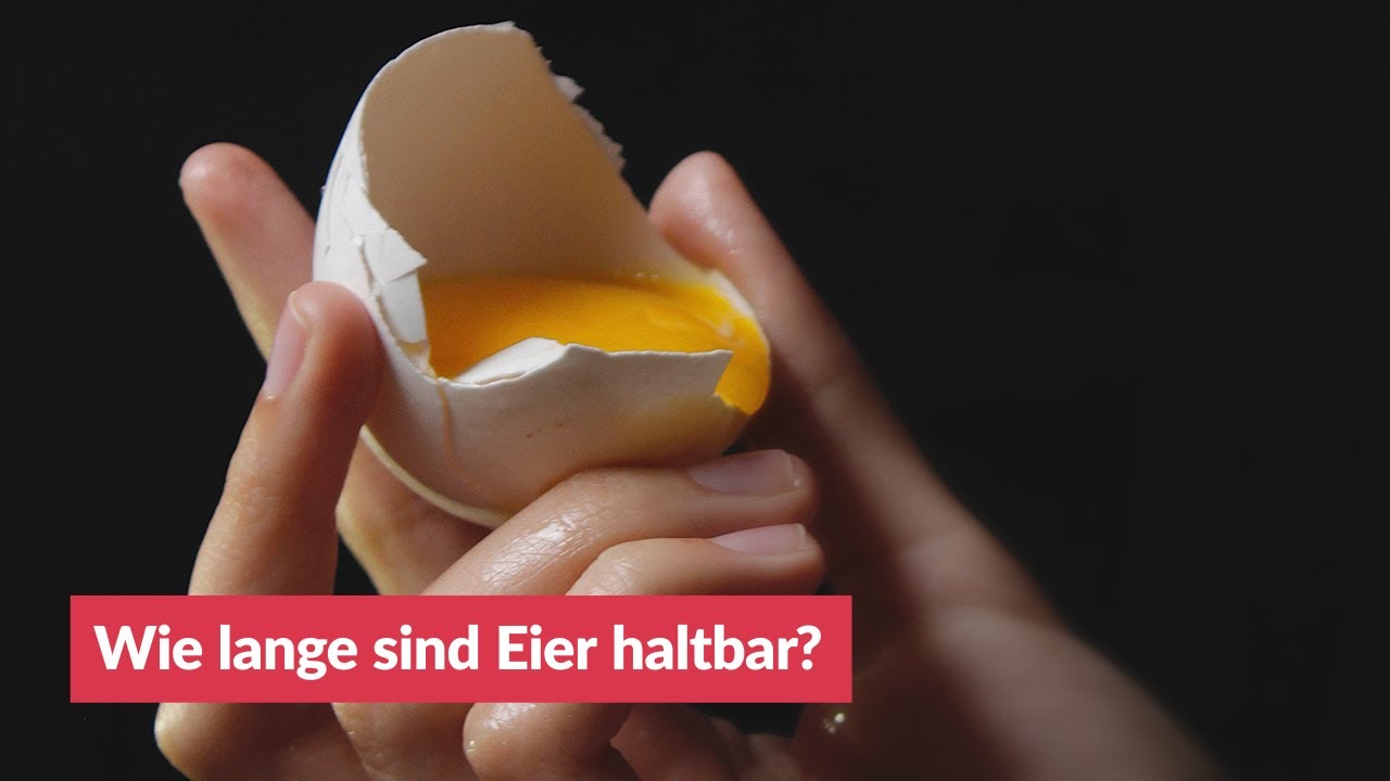 Wie Lange Sind Eier Haltbar Youtube