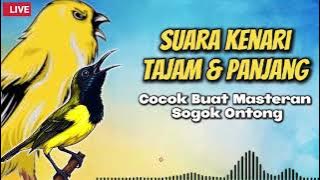 🔴LIVE MASTERAN SOGON — SUARA KENARI NEMBAK PANJANG!!🔥 BIKIN SOGON AUTO NGEPLONG TANPA HENTI!! #sogon