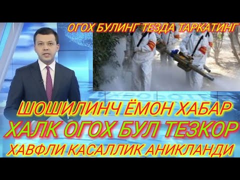 Video: To'ldirilgan Oshqovoq