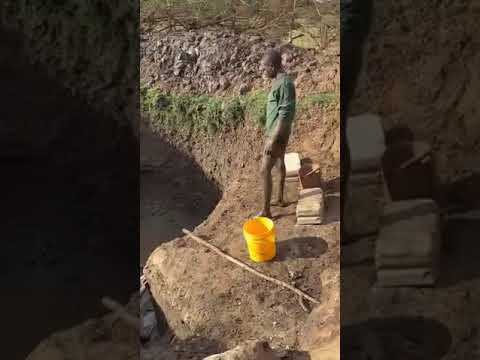 Anteprima video