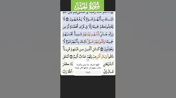 سورة الحشر الاية 14 Fares Abbad