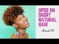 Updo on Short Natural Hair- -Kasheera Latasha