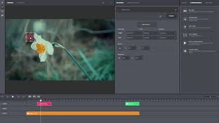 Ivory studion the best online editor video