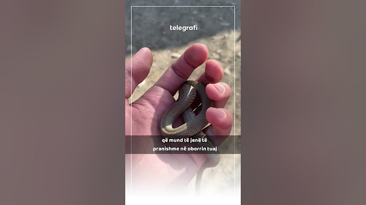 Këto aroma mund të tërheqin gjarpërinjtë në oborrin tuaj