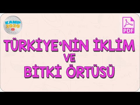 Video: Suudi Arabistan ne tür bir iklim ve bitki örtüsü bulunur?