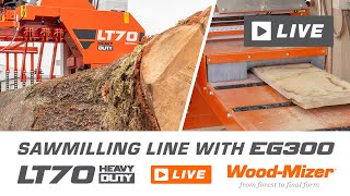 Focus on Productivity: Wood-Mizer LT70 Heavy Duty Sawmilling Line | Wood-Mizer LIVE