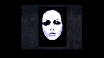 Rough Draft Video Project Com 210