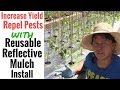 Increase Yields & Repel Garden Pests with Reusable Reflective Mulch Install