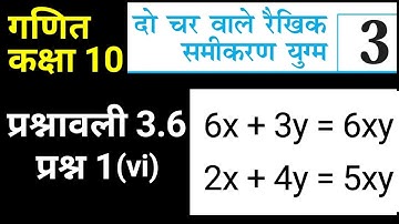 दो चरों वाले रैखिक समीकरण | कक्षा 10 गणित प्रश्नावली 3.6 प्रश्न 1 (vi) | Class 10 Maths Chapter 3
