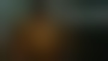 HITMAN 2 - Elusive Target #2 Full Mission Briefing