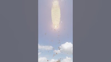 Tower of explosives + det cord = Lag (and damage) #teardown #xbox #explosions