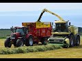 Krone Big X 580 Forage Harvester in Heavy Crop