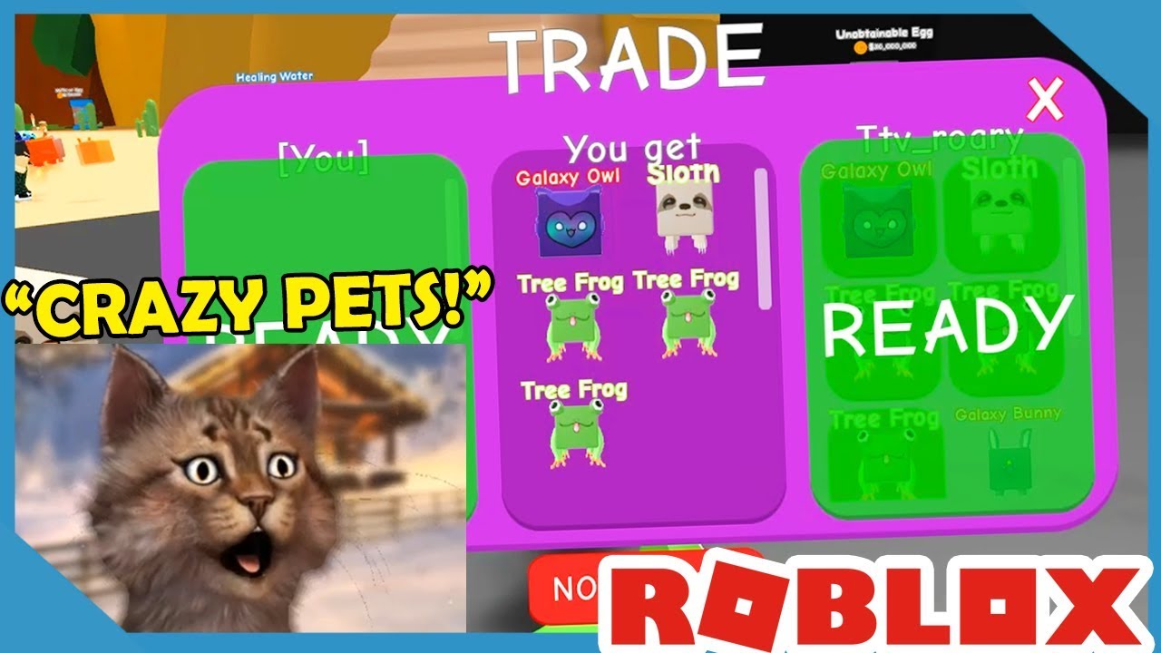 One Trade Broke The Game For Me Roblox Rpg Simulator Youtube - details about buy 3 get 1 free roblox broken egg pet rpg simulator