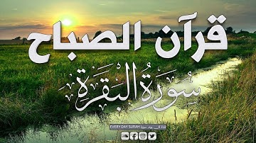 قرآن الصباح | سورة البقرة لحفظ وتحصين المنزل |  تلاوة هادئة تريح القلب