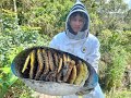 Rescate de abejas Don Matías